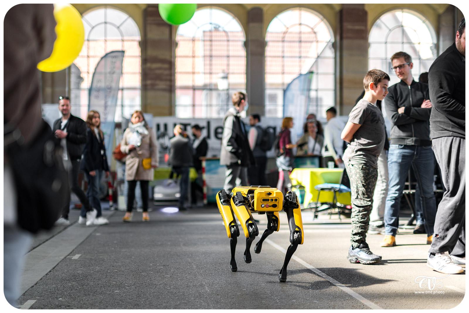 SPOT (BOSTON DYNAMICS)